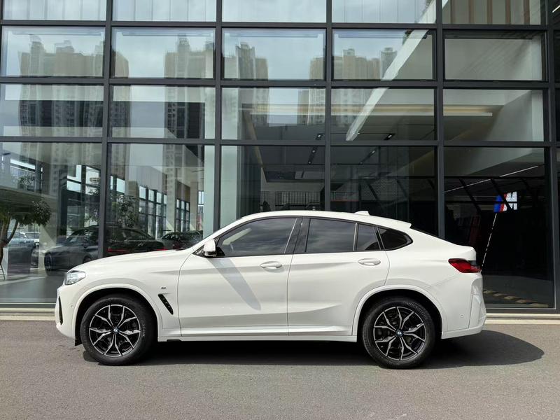 BMW X4, 2023 — фото 3 из 9
