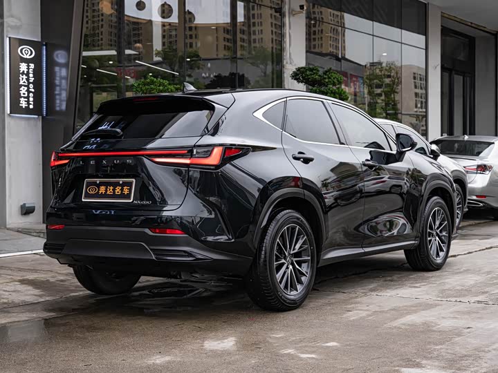Lexus NX, 2024 — фото 3 из 9