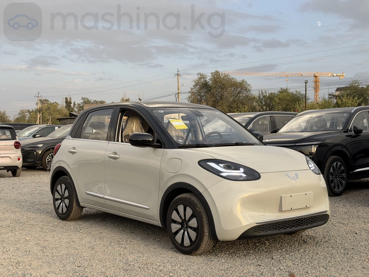 Wuling Binguo, 2025
