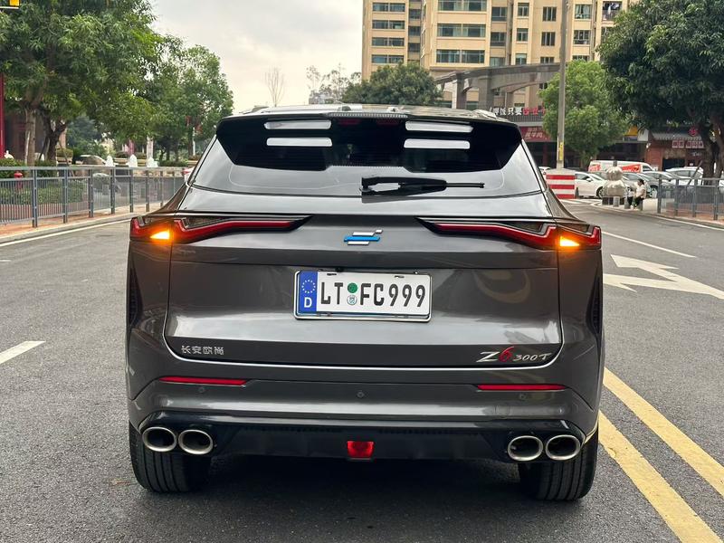 Changan Oshan Z6, 2024 — фото 5 из 12
