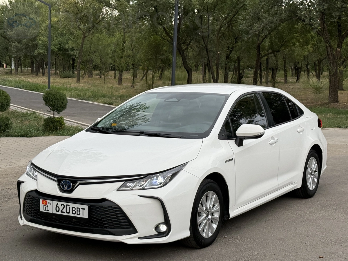 Toyota Corolla, 2024 — фото 3 из 6