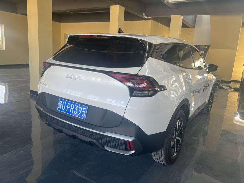 Kia Sportage, 2025 — фото 5 из 12