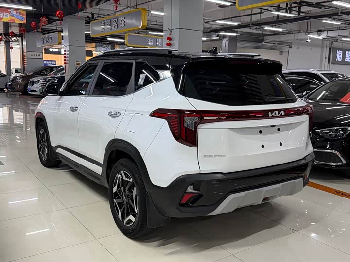 Kia Seltos, 2023 — фото 9 из 9