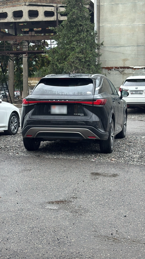 Lexus RX, 2023 — фото 2 из 2