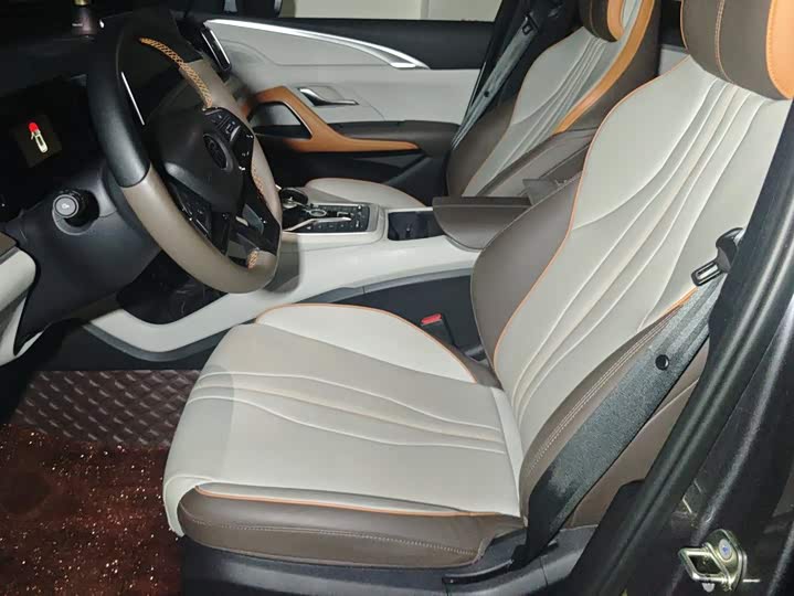 BYD Song Pro Hybrid, 2022 — фото 8 из 9