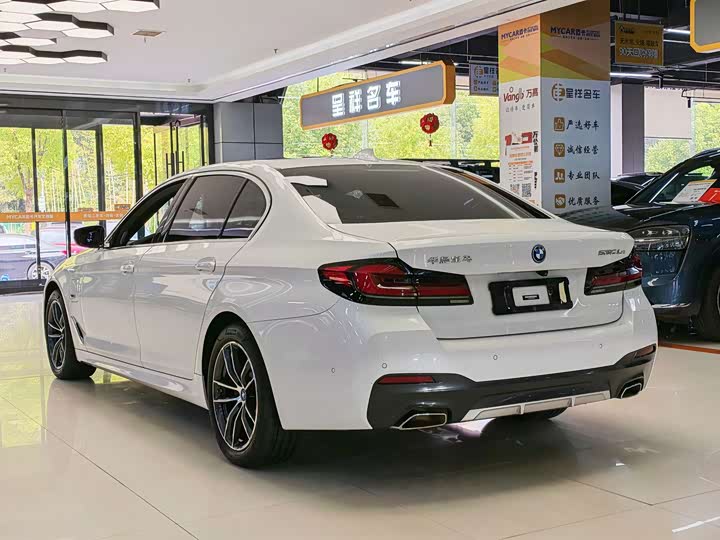 BMW 5 Series Hybrid, 2022 — фото 9 из 9