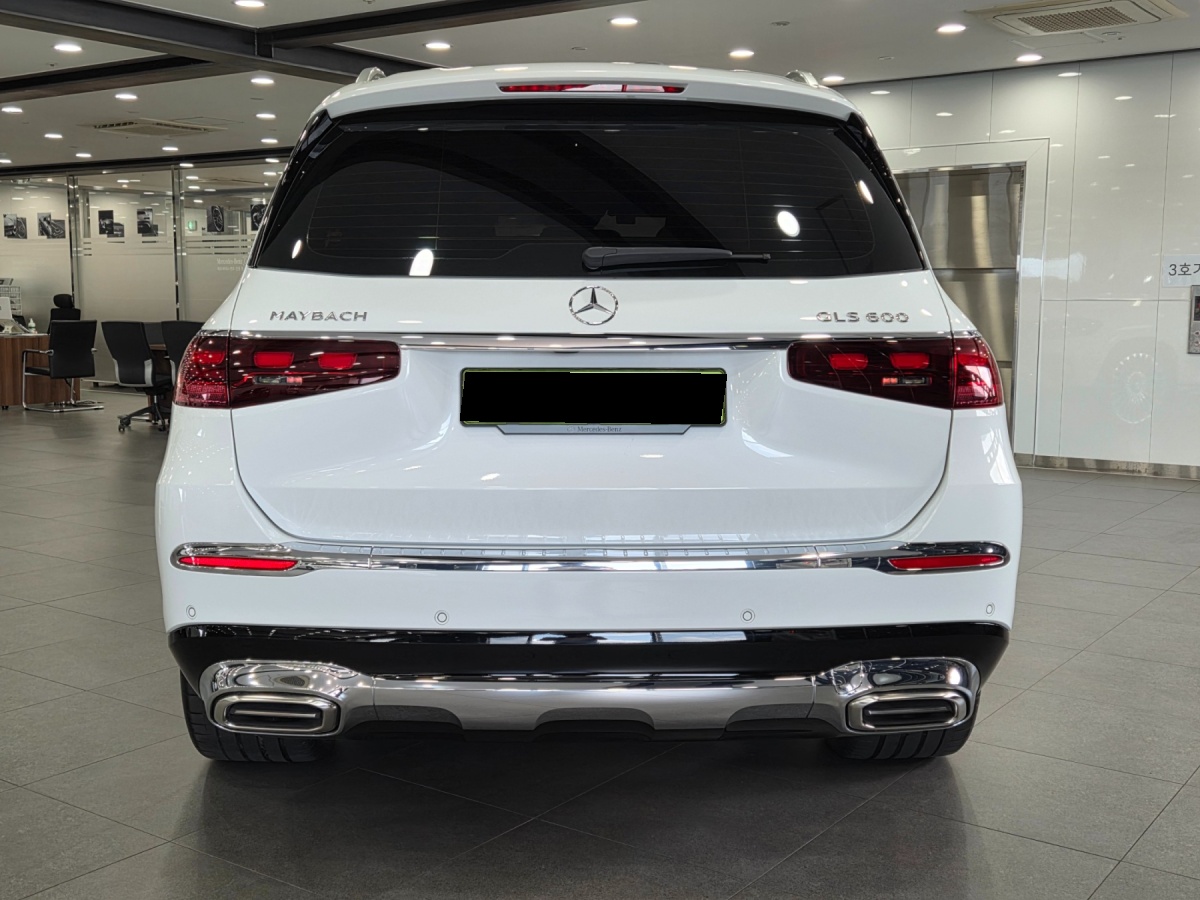 Mercedes-Benz GLS-Class, 2025 — фото 6 из 12