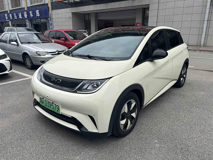 BYD Dolphin, 2024 — купить в Владимире под ключ