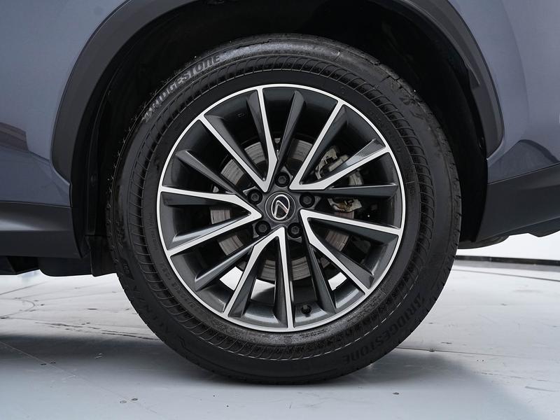 Lexus NX Hybrid, 2023 — фото 11 из 12