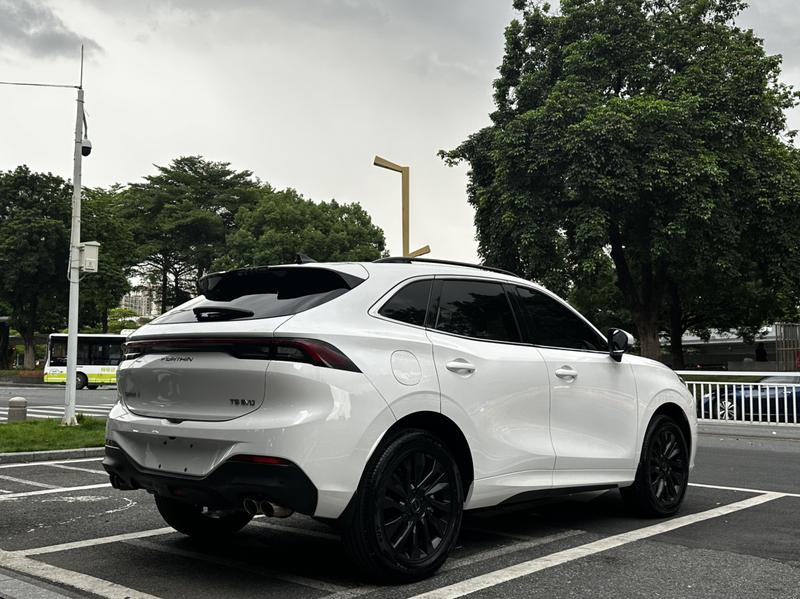 Dongfeng Forthing T5 EVO, 2022 — фото 6 из 12