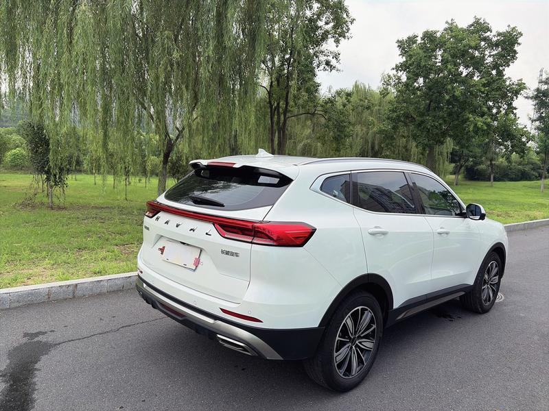 Haval H6, 2023 — фото 7 из 12