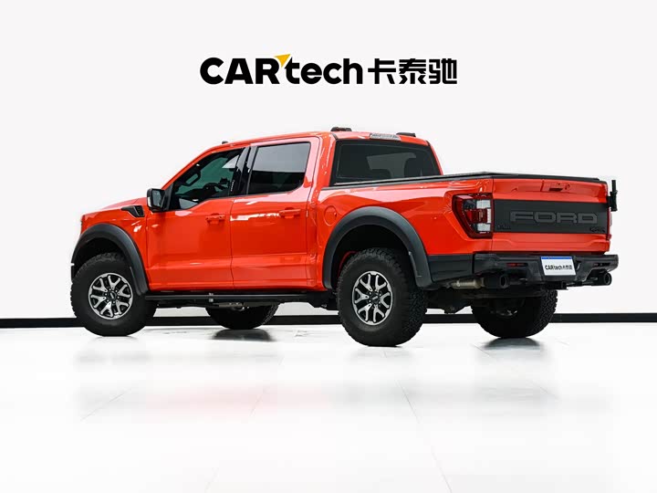 Ford F-150 Raptor, 2024 — фото 6 из 9