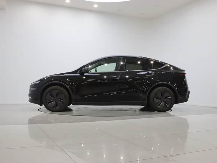 Tesla Model Y, 2025 — фото 8 из 9