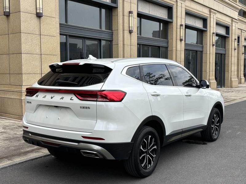 Haval H6, 2023 — фото 6 из 12