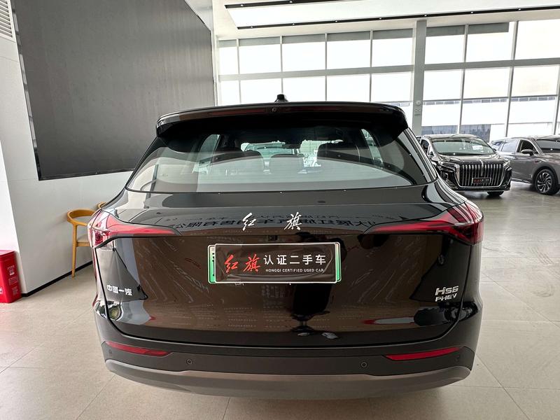 Hongqi HS6 Hybrid, 2025 — фото 5 из 12