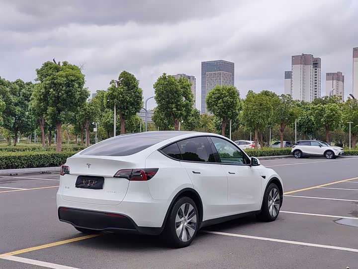 Tesla Model Y, 2022 — фото 7 из 9