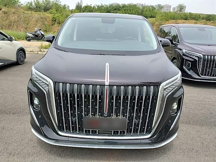 Hongqi HQ9 Hybrid, 2024 — фото 3 из 9