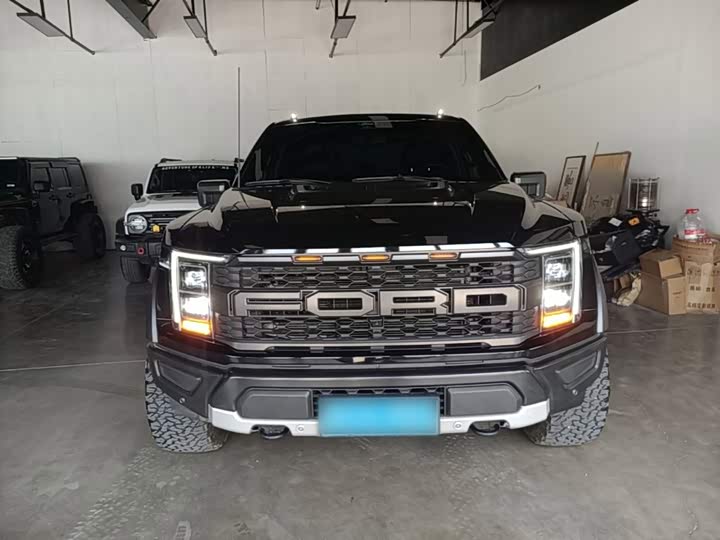Ford F-150 Raptor, 2025 — фото 3 из 9
