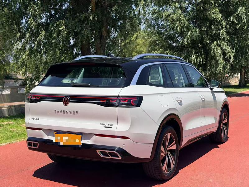 Volkswagen Tavendor, 2023 — фото 6 из 10