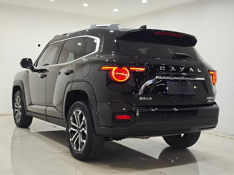 Haval H-Dog, 2023 — фото 4 из 10
