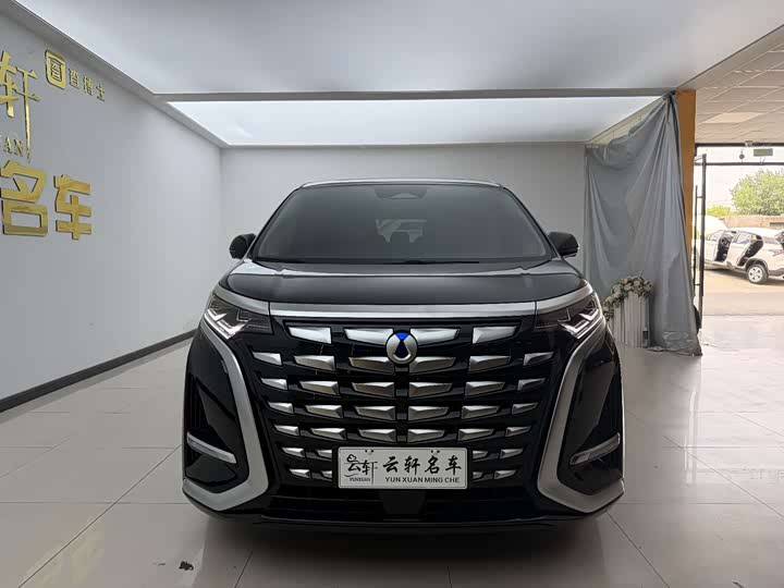 Denza D9, 2025 — фото 2 из 9