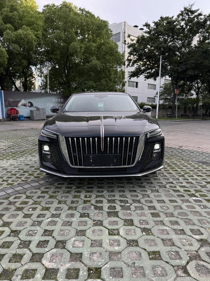 Hongqi H5, 2023 — фото 2 из 10