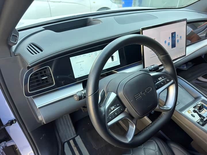 BYD Sea Lion 07 EV, 2025 — фото 5 из 9