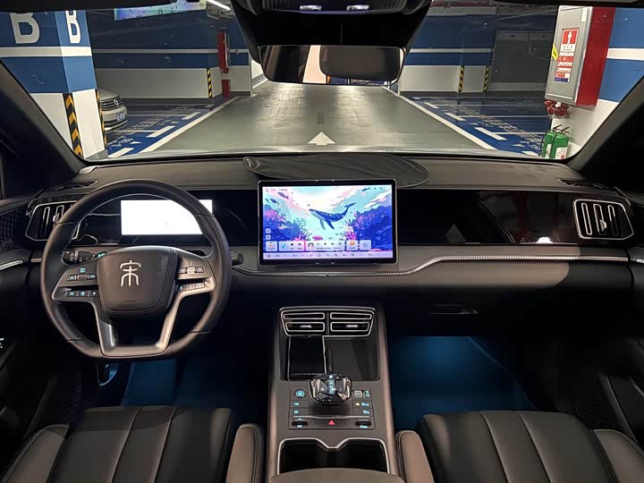 BYD Song Pro Hybrid, 2025 — фото 9 из 9