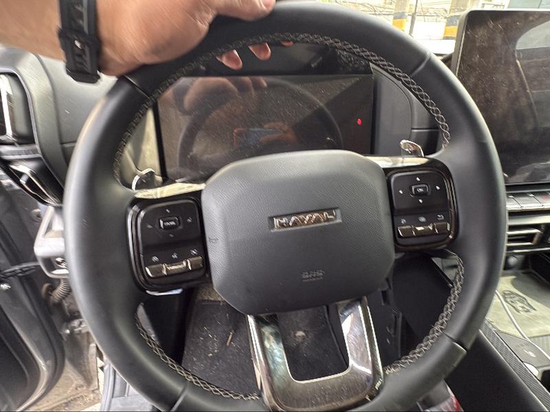 Haval H-Dog, 2023 — фото 11 из 12
