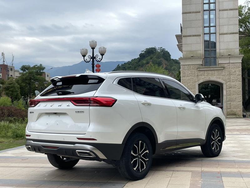 Haval H6, 2021 — фото 6 из 11