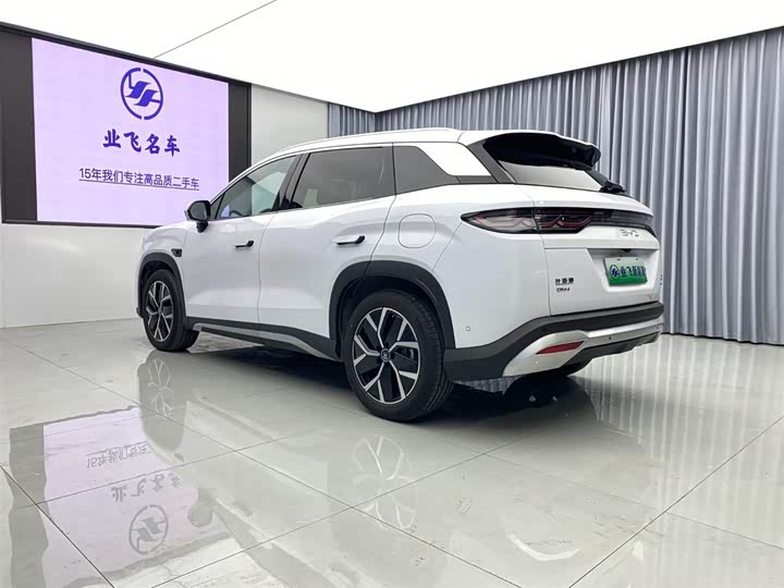 BYD Song L DM-i Hybrid, 2024 — фото 6 из 9