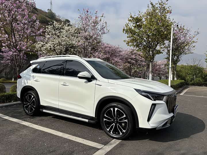 GAC Trumpchi GS4 Plus, 2024 — фото 3 из 9