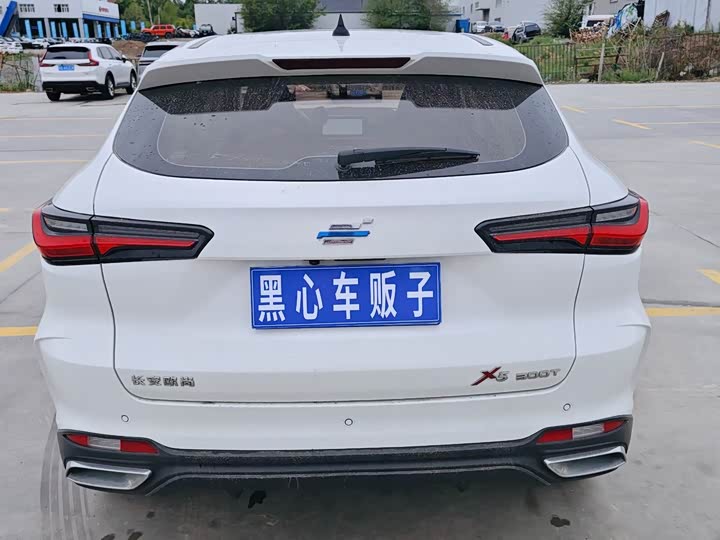 Changan Oshan X7, 2022 — фото 5 из 9