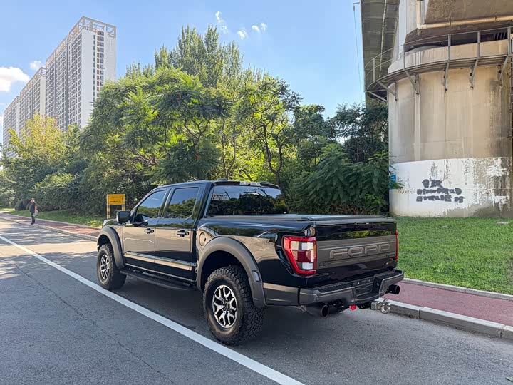 Ford F-150 Raptor, 2024 — фото 4 из 9
