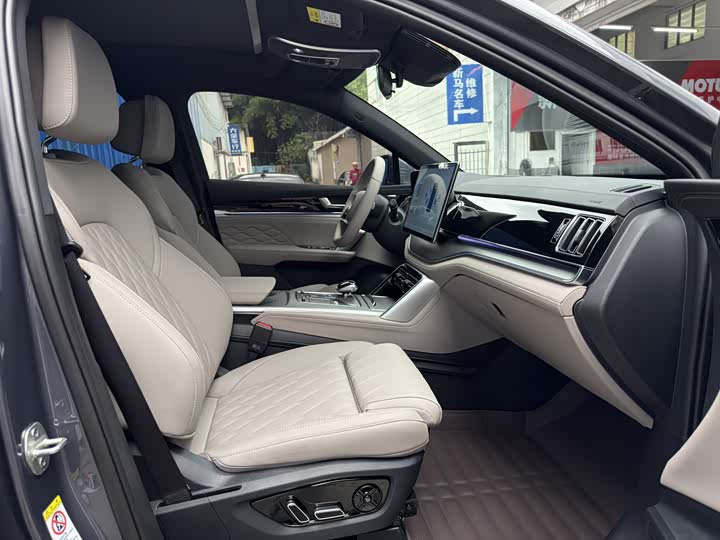 BYD Tang Hybrid/EV, 2024 — фото 7 из 9