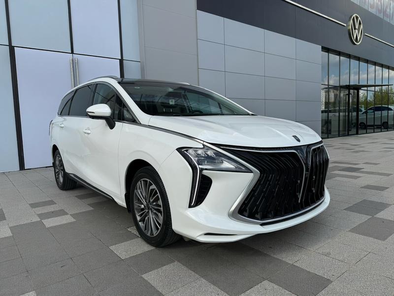 Dongfeng Forthing Yacht, 2024 — фото 3 из 12