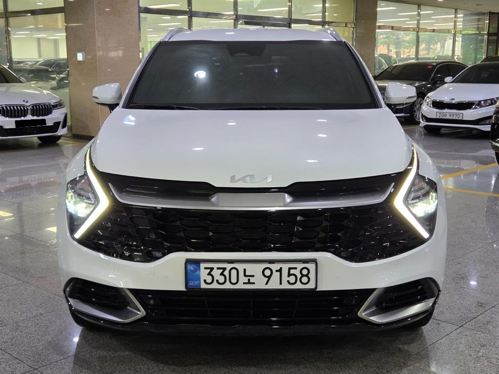 Kia Sportage, 2024 — фото 2 из 12