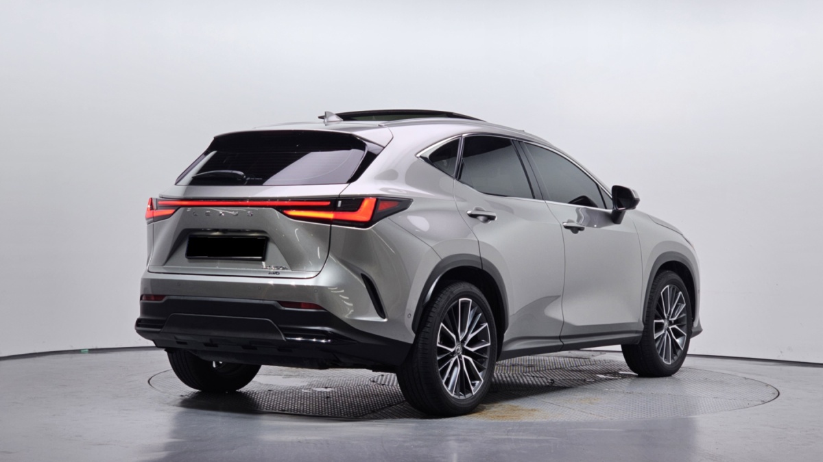 Lexus NX, 2024 — фото 2 из 12