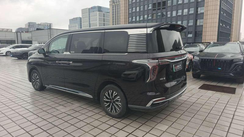 Hongqi HQ9 Hybrid, 2024 — фото 5 из 12