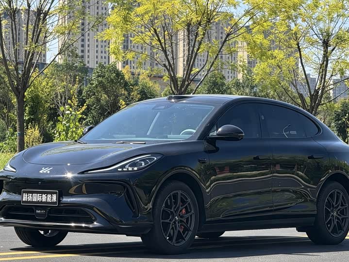 IM motors LS6, 2023 — купить в Ярославле под ключ