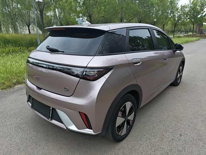 BYD Dolphin, 2023 — фото 7 из 9
