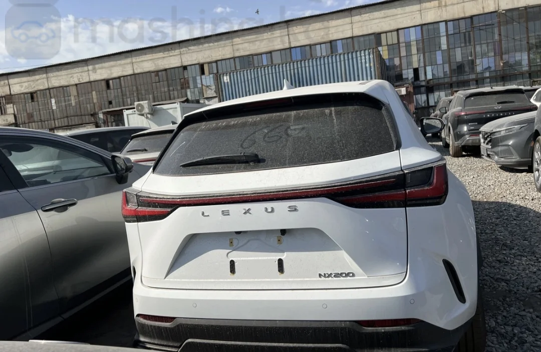 Lexus NX, 2025 — фото 4 из 7