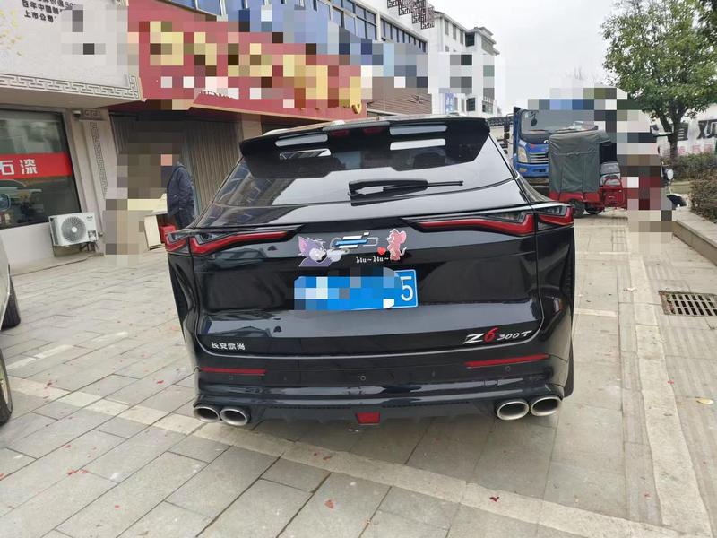 Changan Oshan Z6, 2024 — фото 4 из 9