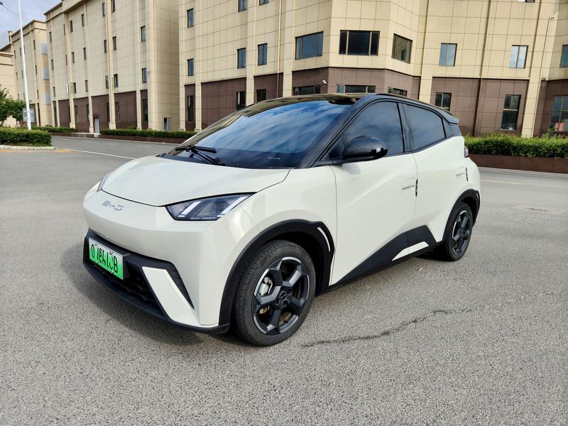 BYD Seagull, 2023 — купить в Смоленске под ключ