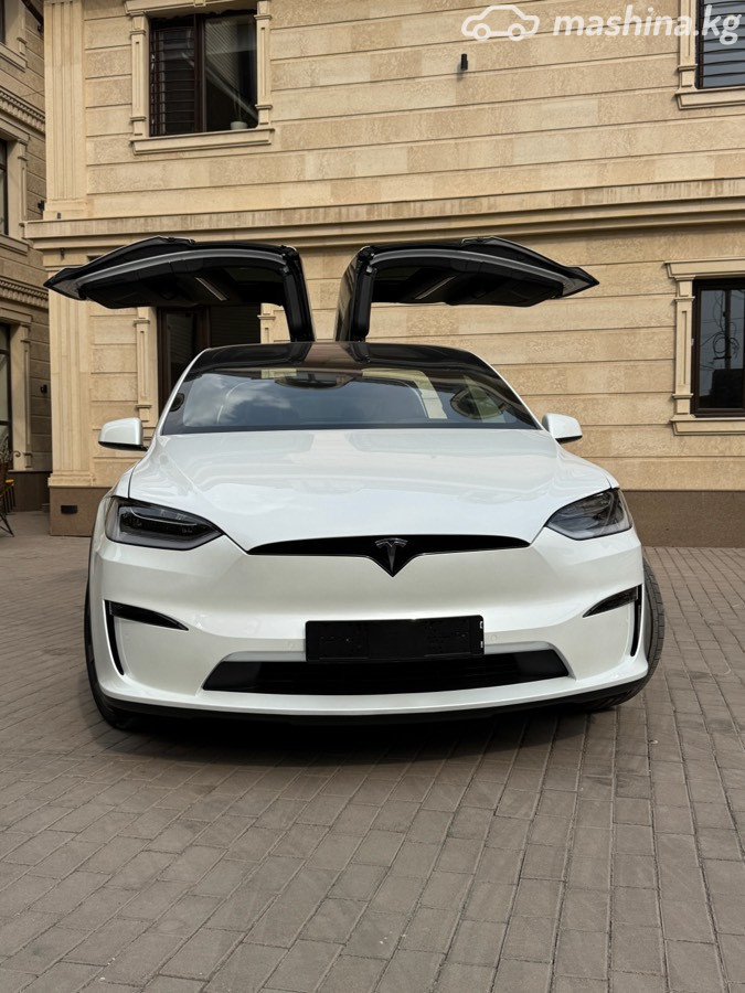 Tesla Model X, 2023 — фото 3 из 12