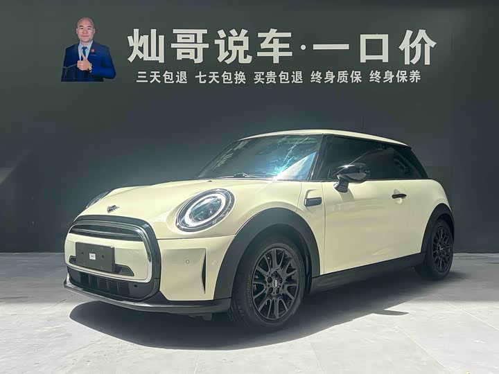 Mini Mini, 2022 — купить в Нижнем Новгороде под ключ