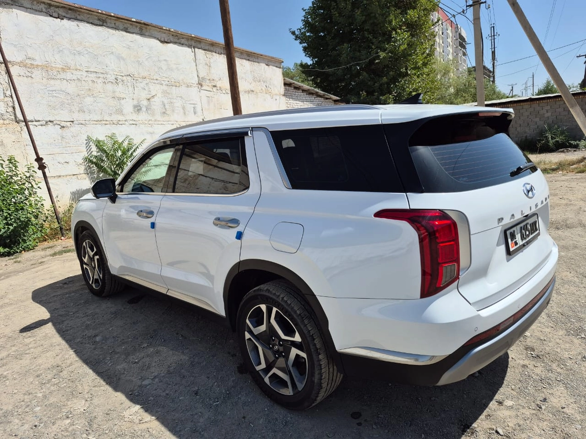 Hyundai Palisade, 2024 — фото 11 из 12