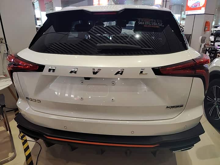 Haval F7 (Monster), 2023 — фото 6 из 9