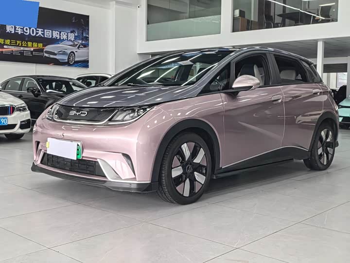 BYD Dolphin, 2022 — купить в Самаре под ключ