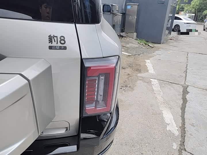 BYD FangChengBao Leopard 8, 2024 — фото 8 из 9